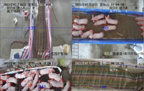 09-四川铁骑力士食品有限责任公司-13990198832.jpg